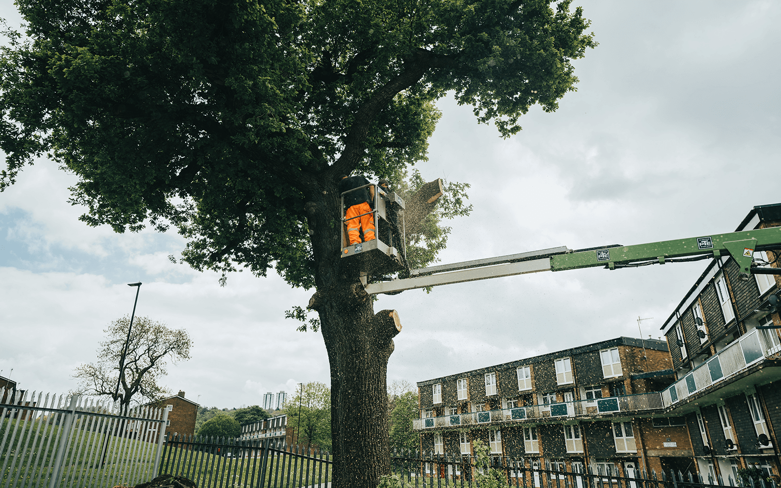 Local Landscaping Work