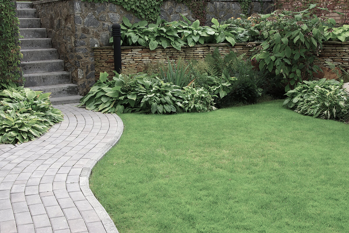 Welcome to Local Landscaping